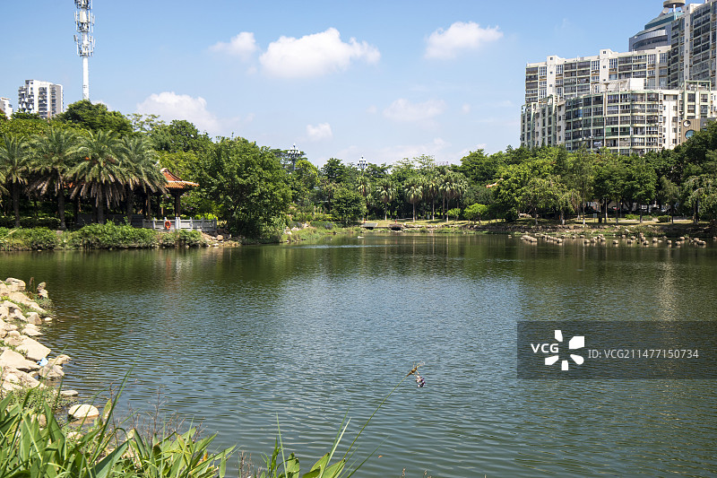 初秋的泉州晋江竹下公园图片素材