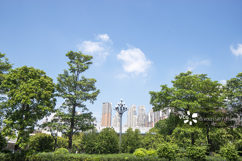 初秋的泉州晋江竹下公园图片素材