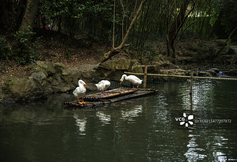 绍兴王羲之兰亭景区图片素材