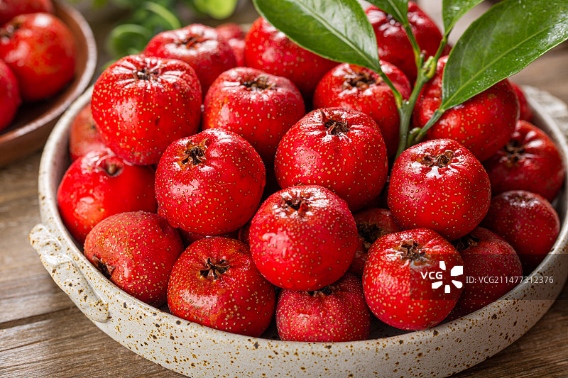 新鲜采摘的山楂图片素材