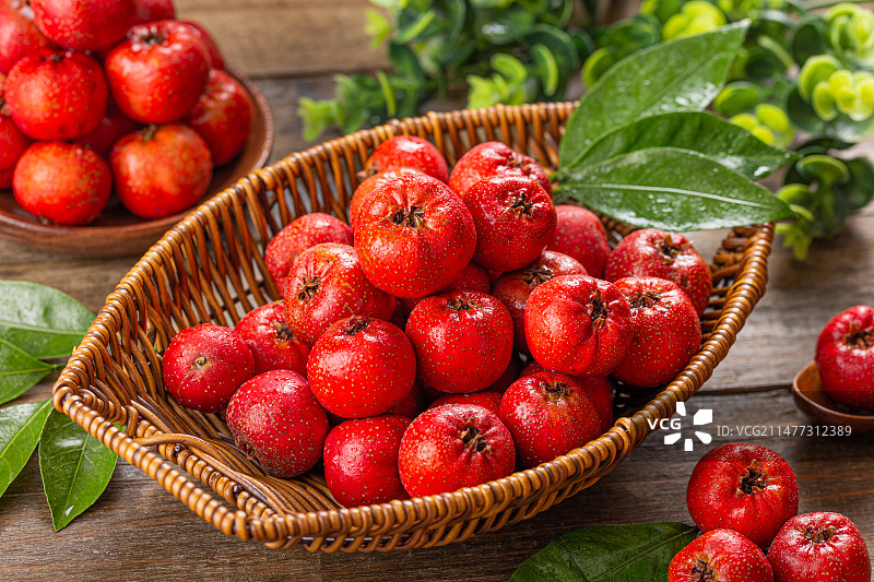 新鲜采摘的山楂图片素材