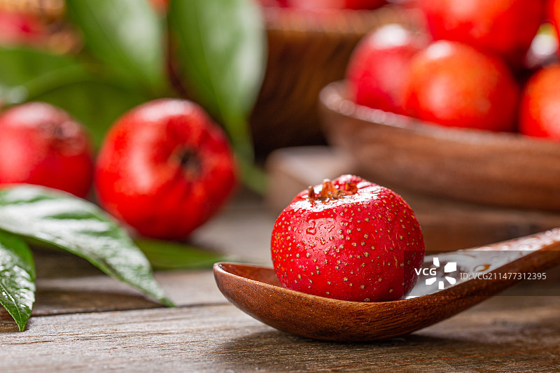 新鲜采摘的山楂图片素材