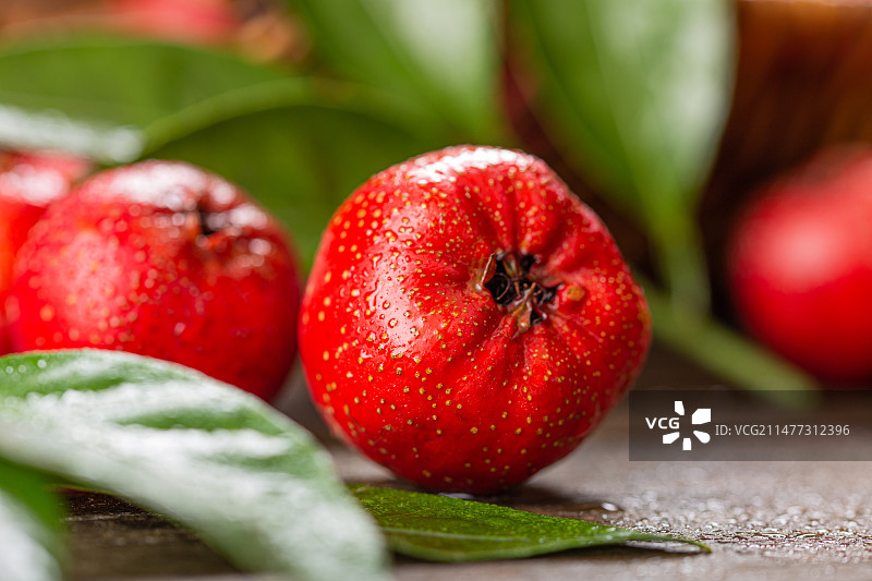 新鲜采摘的山楂图片素材