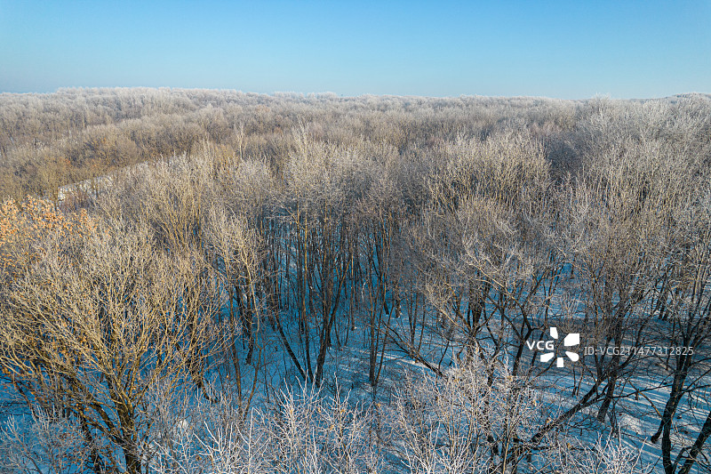 东北冬季森林雾凇图片素材