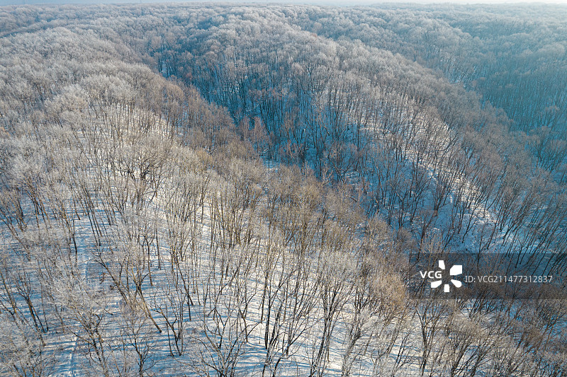 东北冬季森林雾凇图片素材