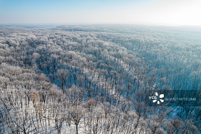 东北冬季森林雾凇图片素材