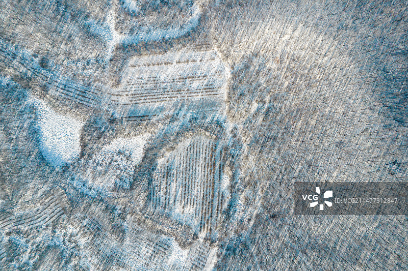 东北冬季森林雾凇图片素材