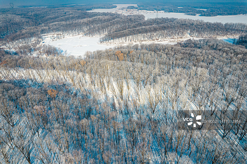 东北冬季森林雾凇图片素材