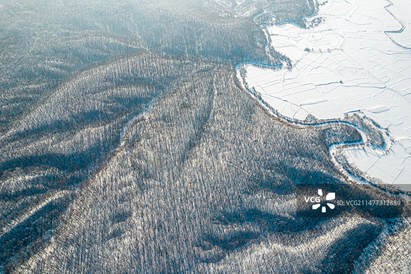 东北冬季森林雾凇图片素材