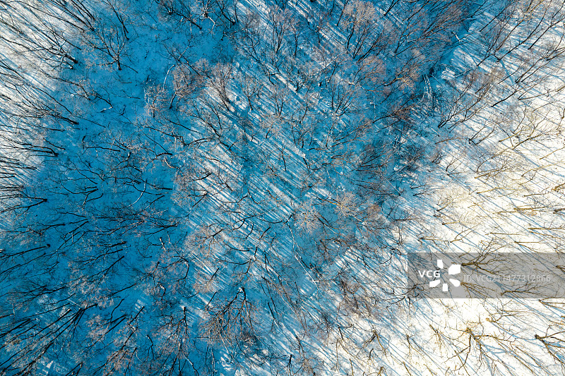 东北冬季森林雾凇图片素材