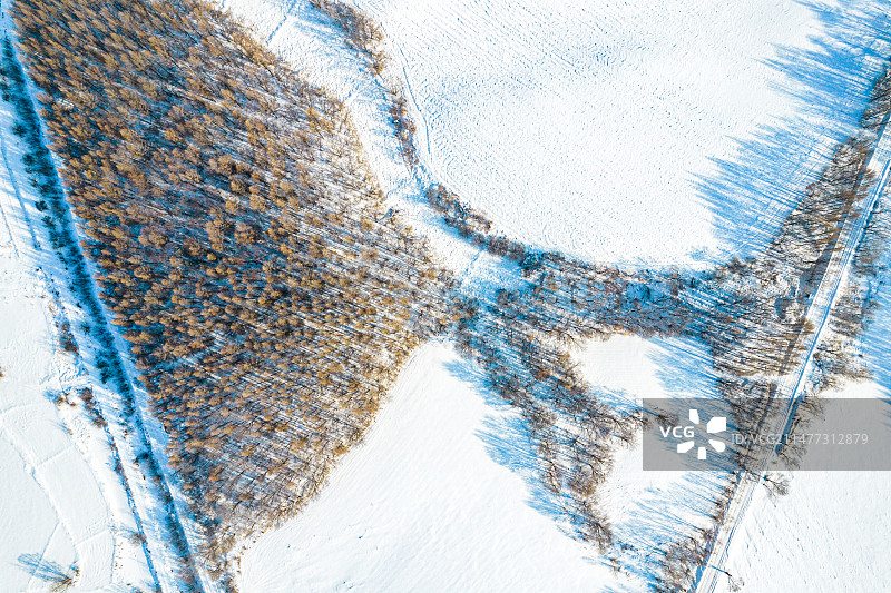 东北冬季森林雾凇图片素材