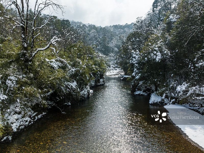 原始森林溪流河谷唯美雪景龙苍沟大熊猫国家公园图片素材