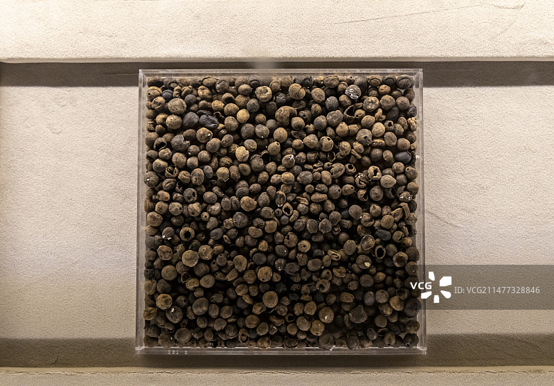 中国国家博物馆：芡实【新石器时代·河姆渡文化，田螺山遗址出土，浙江省文物考古研究所藏】图片素材