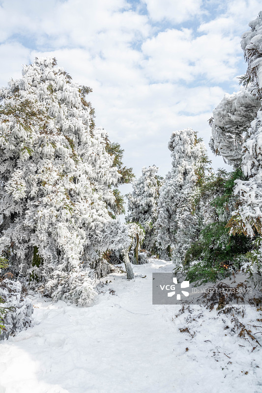 中国南岳衡山紫盖峰雾凇风光图片素材