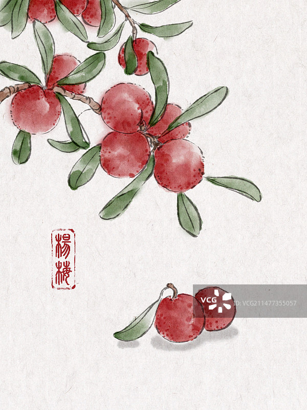 古风小品-农作物-杨梅图片素材