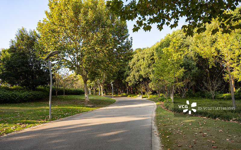 闵行文化公园图片素材