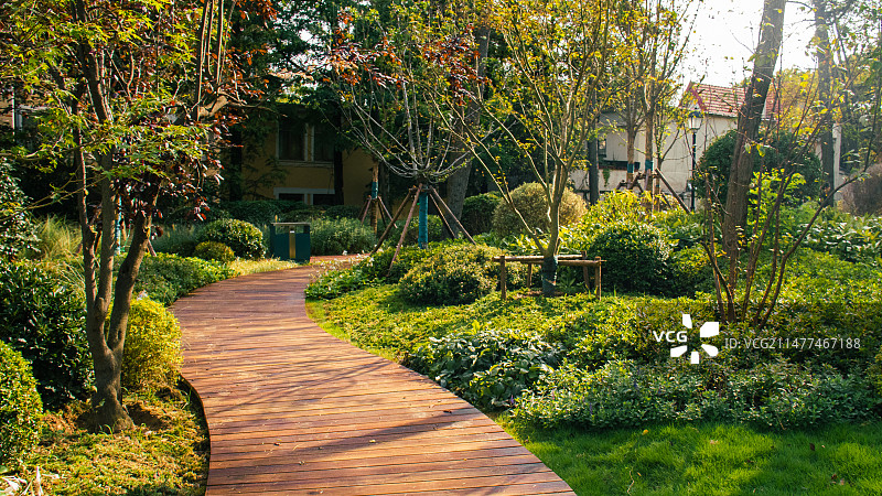 青岛口袋公园图片素材