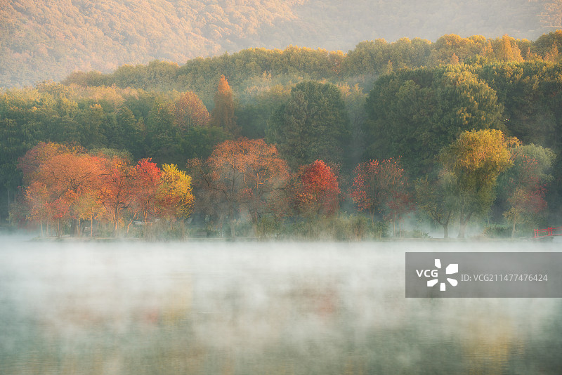 南京前湖晨雾图片素材