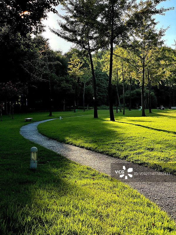 城市绿地图片素材