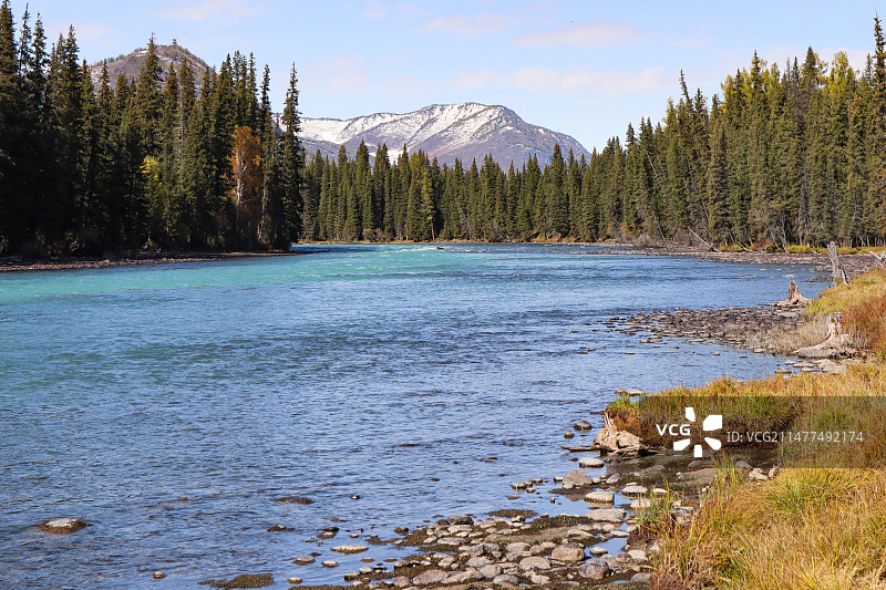 喀纳斯鸭泽湖秋景-组2图片素材