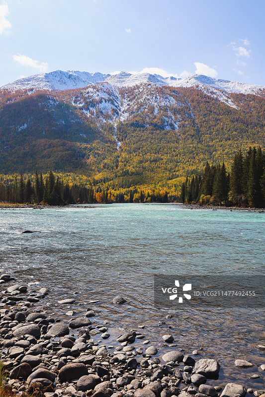 喀纳斯鸭泽湖秋景图片素材