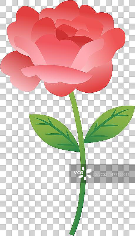 AI矢量插画玫瑰图片素材