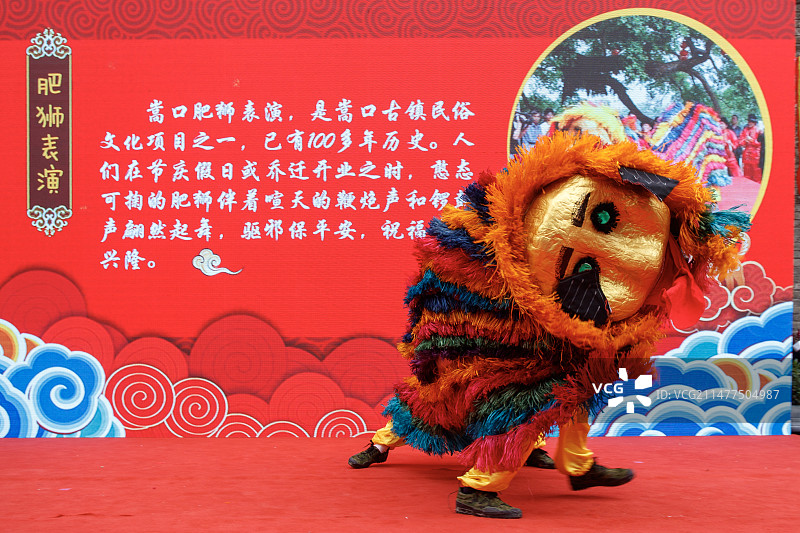 最呆萌的舞狮-福建永泰鼎湖肥狮图片素材