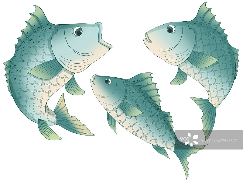 鲈鱼手绘插画图片素材