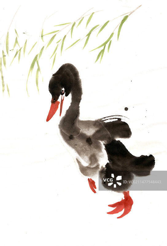 柳叶下的鸭子图片素材