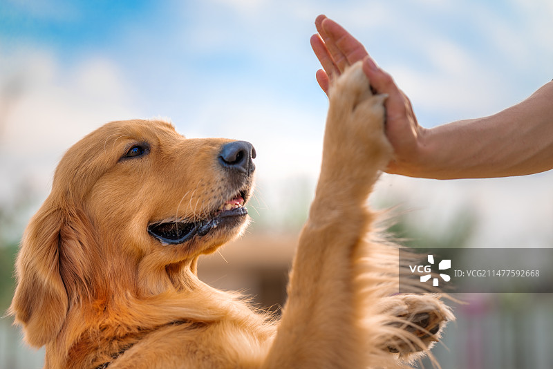 击掌2024图片素材