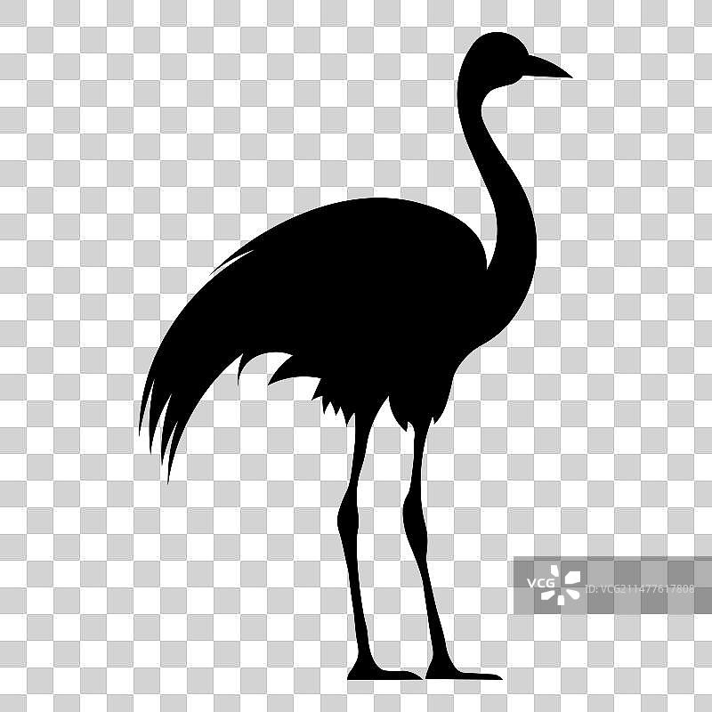 白色背景上的黑色鸵鸟图标图片素材