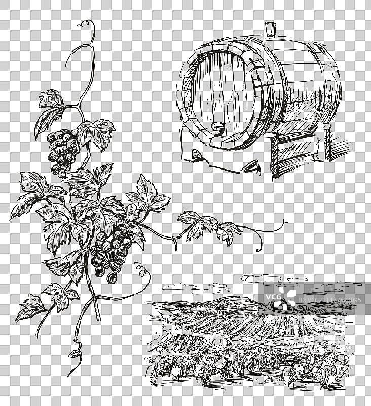 葡萄酒酿造主题葡萄园景观草图图片素材