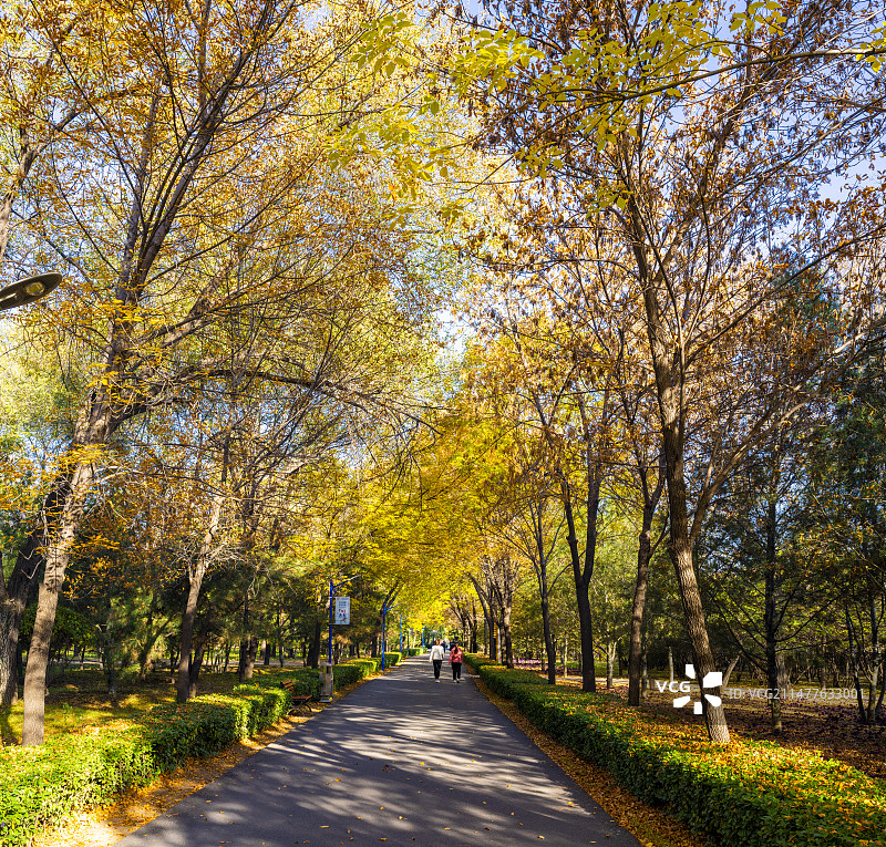 山西太原市森林公园秋景图片素材
