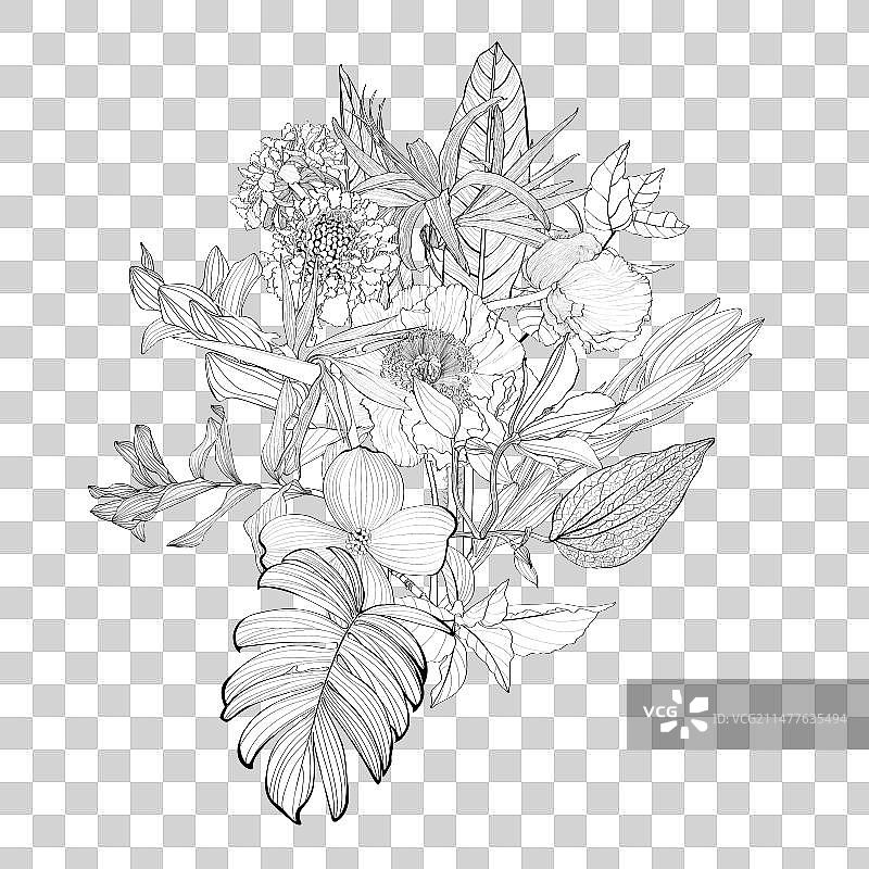 线条花卉花束图片素材