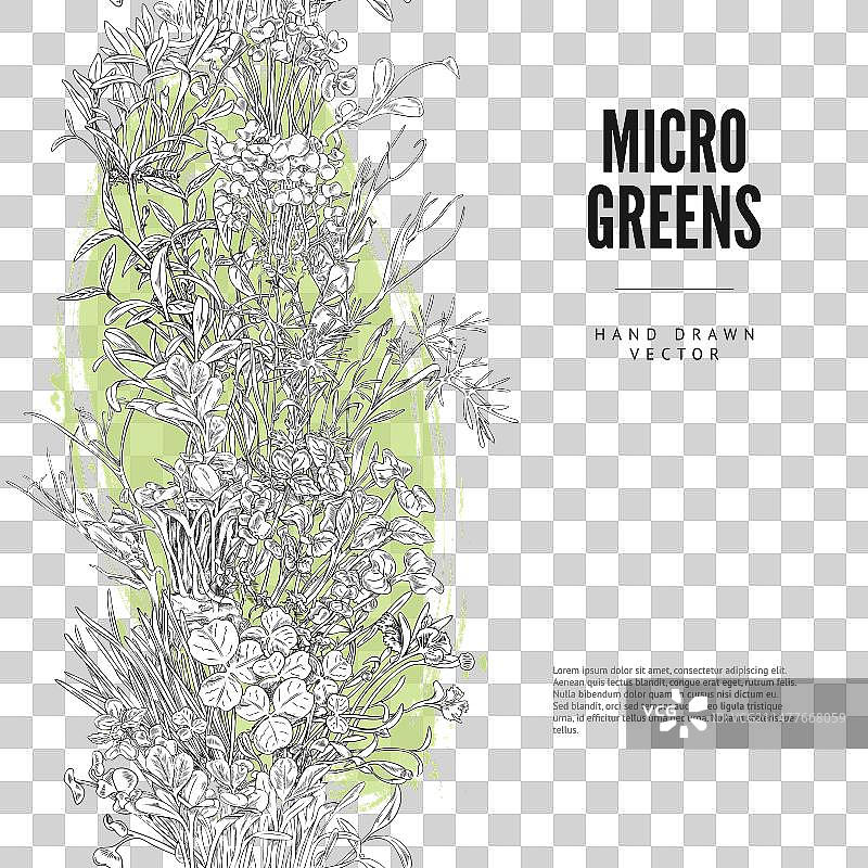 手绘图案竖版无缝边框图片素材