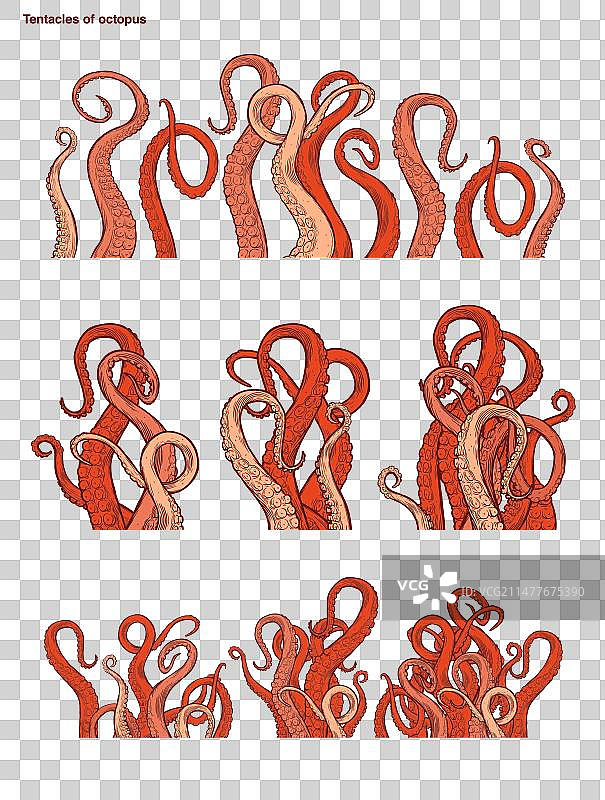 红色章鱼触手图片素材