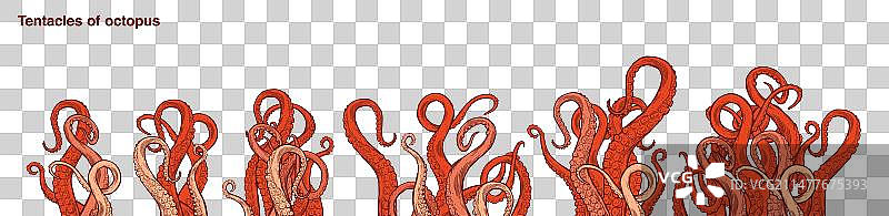 红色章鱼触手图片素材