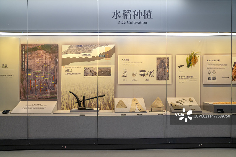 浙江杭州良渚博物院内景图片素材