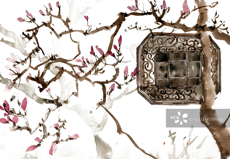 窗前的玉兰花图片素材