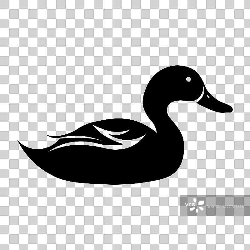 在白色的背景上的鸭子图片素材