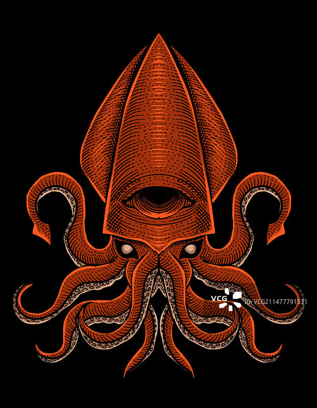 雕刻风格的鱿鱼图片素材