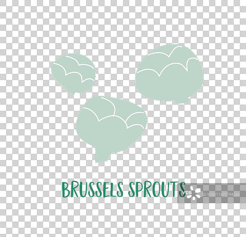 手绘抱子甘蓝扁平设计图片素材