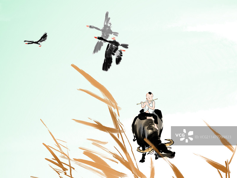 新农村乡村风景人物放牛的小孩图片素材