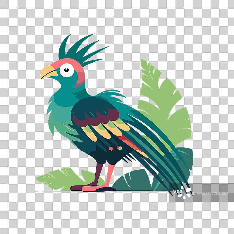 卡通野生动物格查尔鸟教育元素图片素材