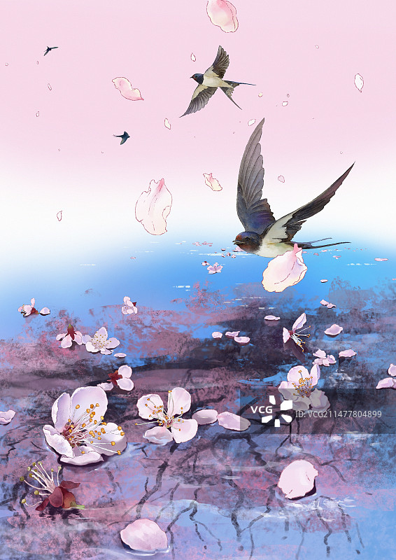 唯美插画 燕子飞舞杏花飘落的时节图片素材