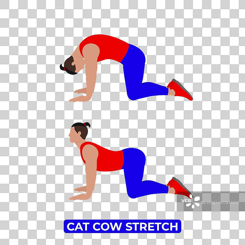 男人做猫牛式伸展图片素材