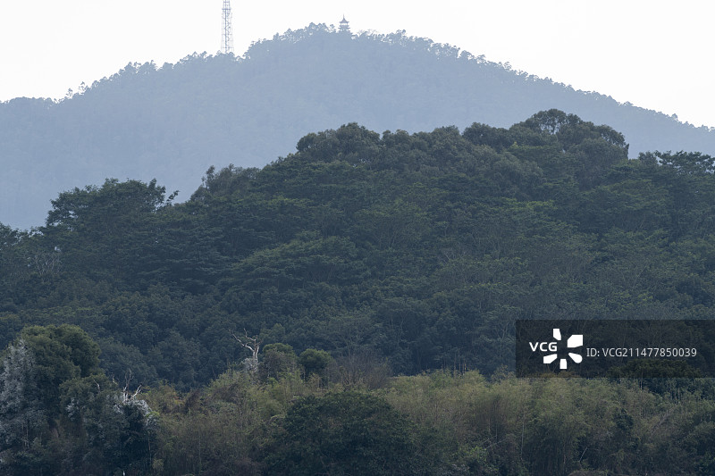 中国广东东莞同沙生态公园，冬季景观图片素材