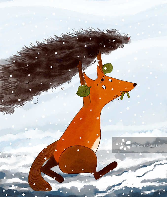 狐狸冬天雪花图片素材