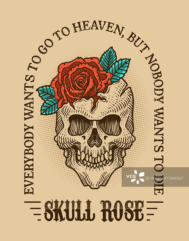 复古玫瑰骷髅头图片素材