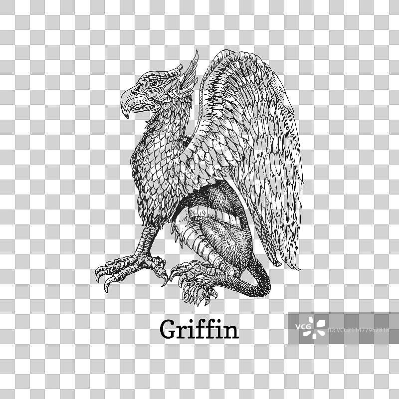 狮鹫兽素描图片素材